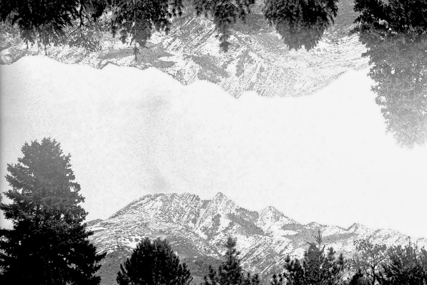 A double exposure shows a snow-covered mountain range with pine trees in the foreground and an inverted image of the same scene above.