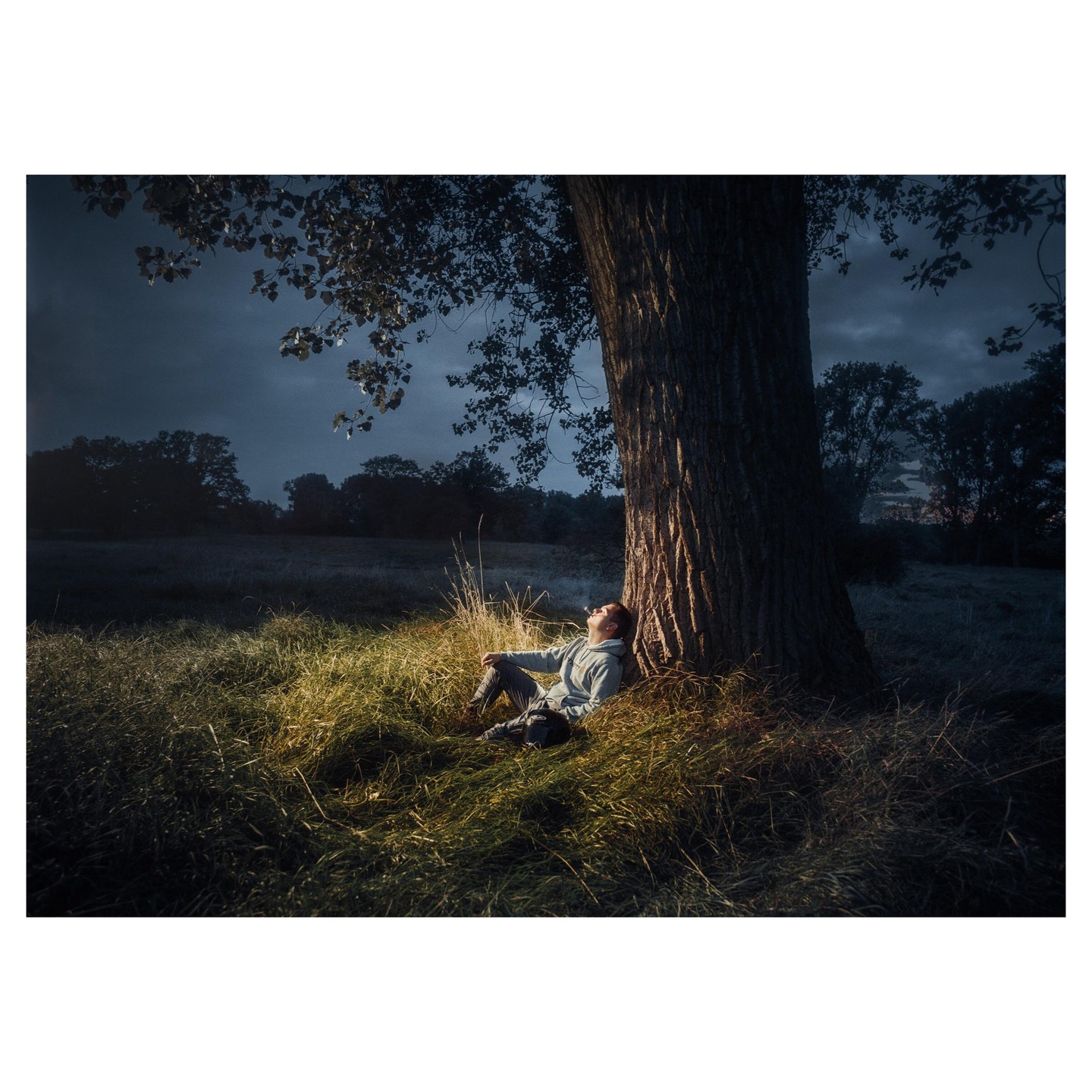 A man sits against a large tree in a field at night, looking up at the sky.