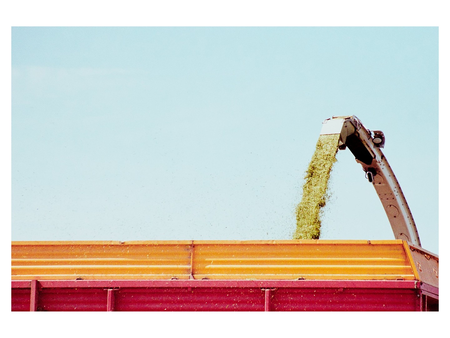 A machine arm pours green silage into the back of a red and orange truck.