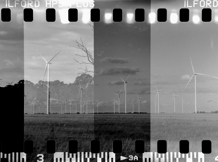 A field of wind turbines is visible through a double exposure with a bare tree and film borders.
