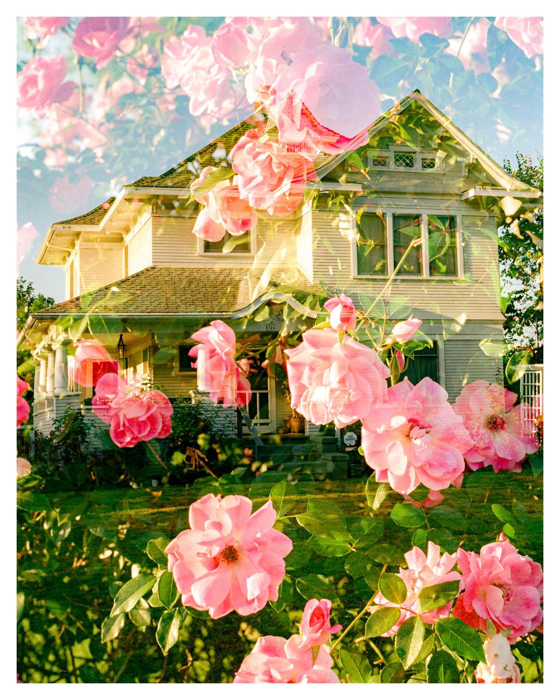 A double exposure shows a house overlaid with pink roses.