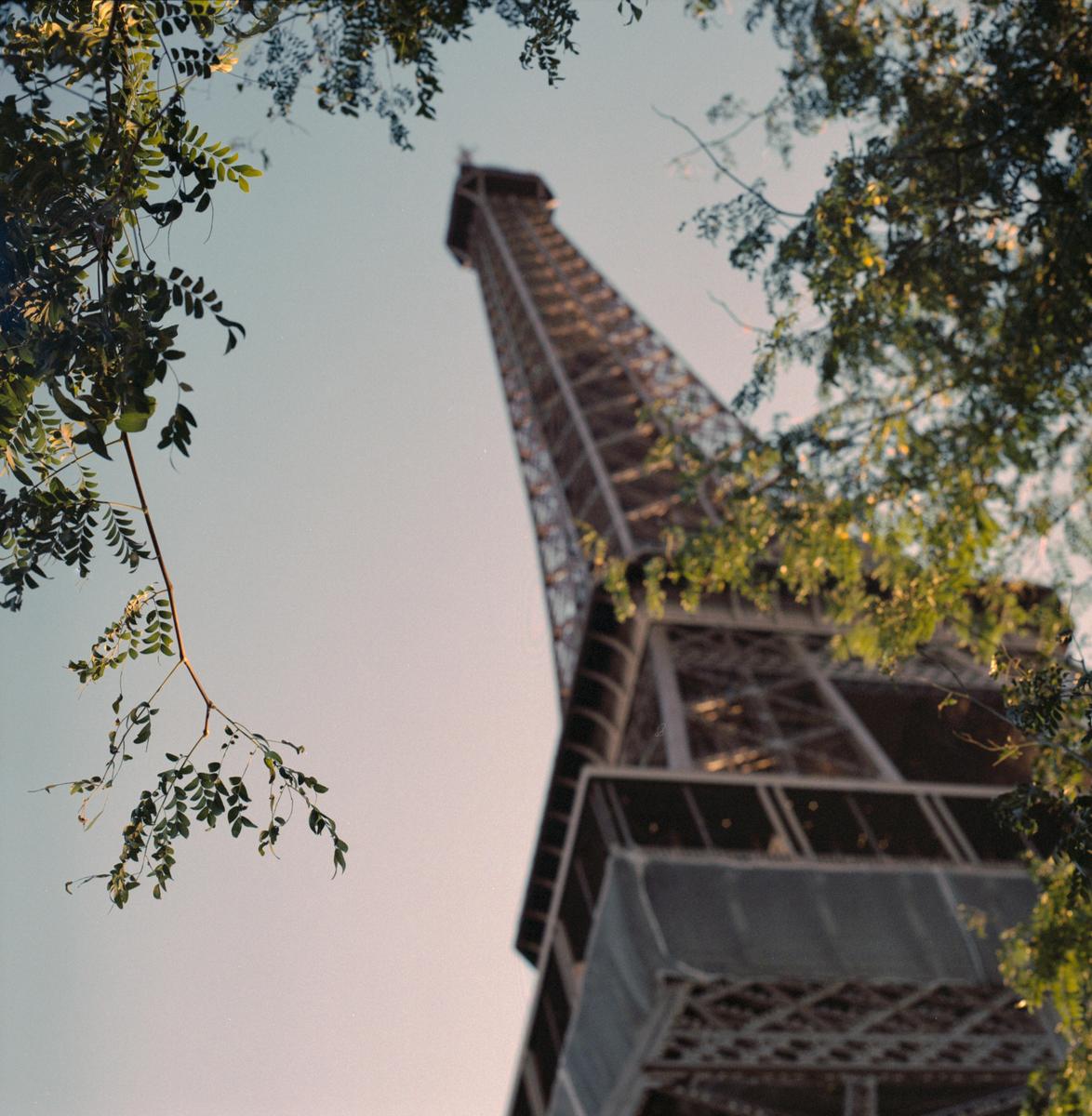 The Eiffel Tower is framed by green leaves against a clear sky.