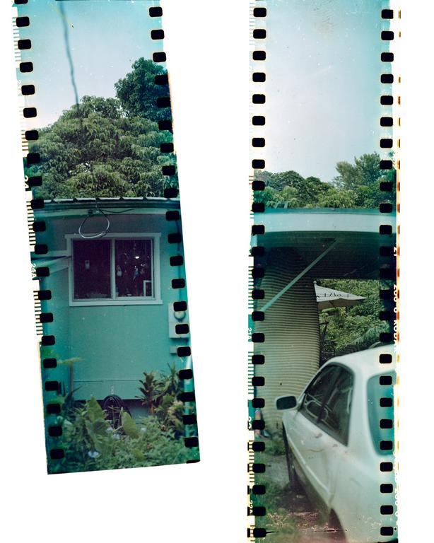 A white car is parked next to a house with a garden and a large tree.