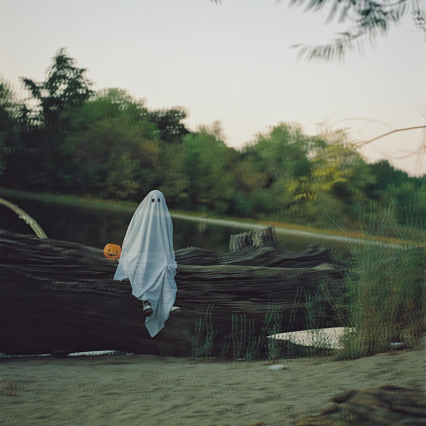 A person dressed as a ghost sits on a large log next to a body of water, holding a jack-o'-lantern.