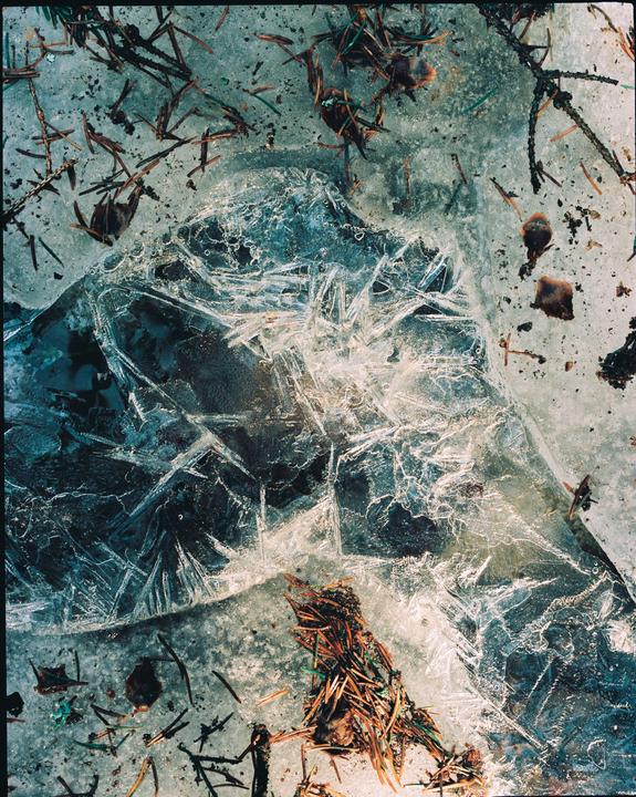 Ice with pine needles and other debris is visible on the ground.