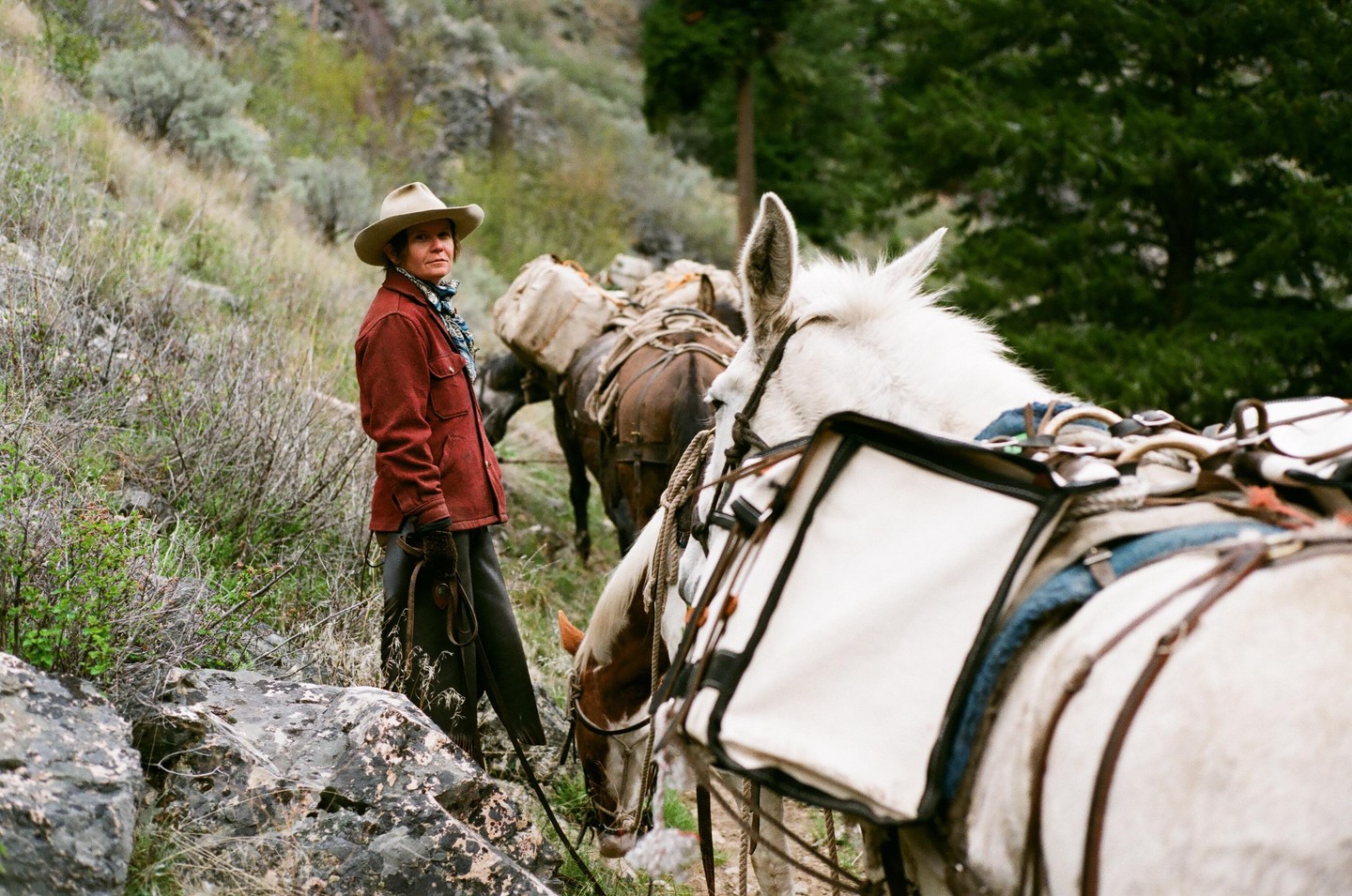A woman in a cowboy hat and red jacket stands next to a pack horse on a rocky, grassy hillside.