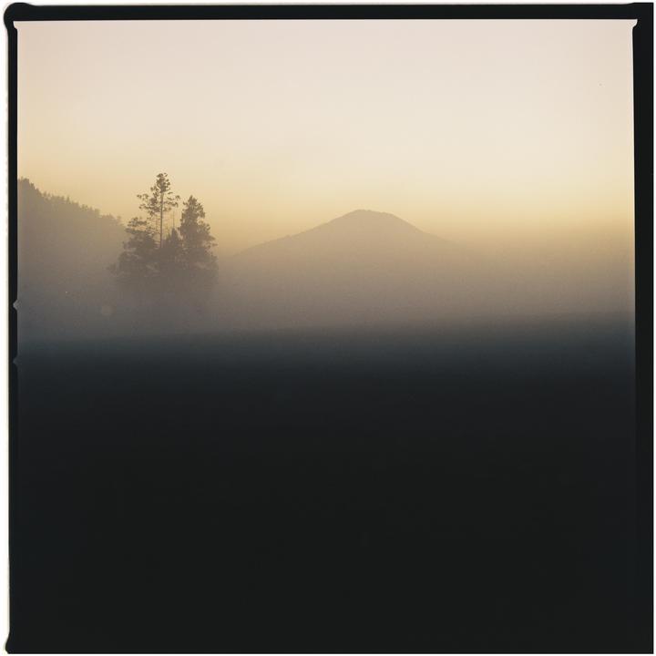 A hazy landscape shows a mountain and trees in the distance.