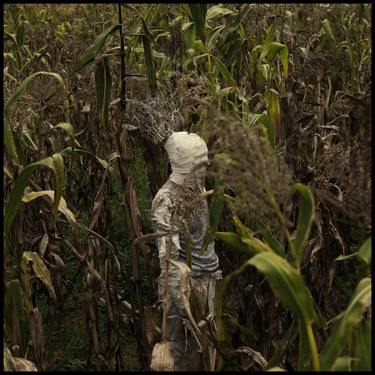 A figure wrapped in white cloth stands in a field of tall corn stalks.