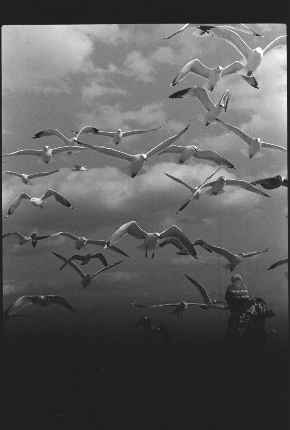 A boy sits on a statue surrounded by a flock of seagulls flying in a cloudy sky.