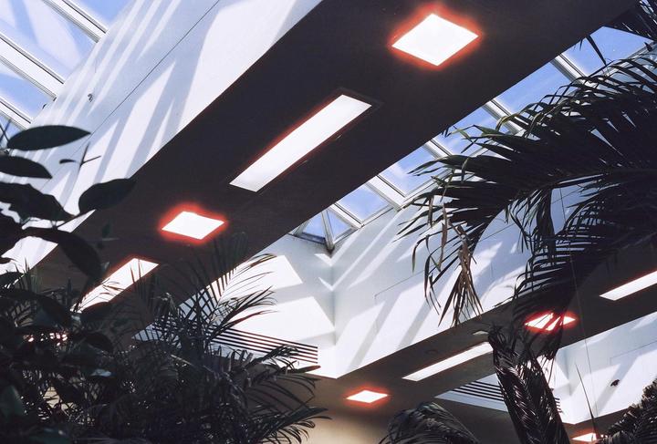The interior of a building features a skylight, artificial lights, and palm plants.