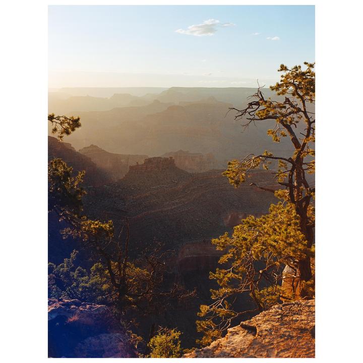 A hazy landscape of a canyon with trees in the foreground is visible under a bright sky.