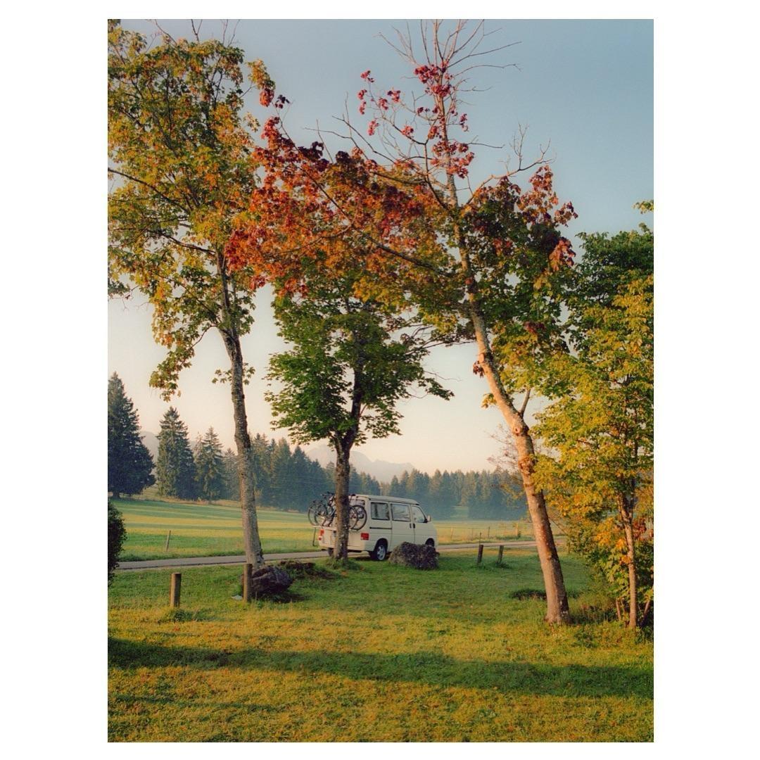 A white van with a bicycle rack is parked on a grassy field next to a road, surrounded by trees with autumn foliage.