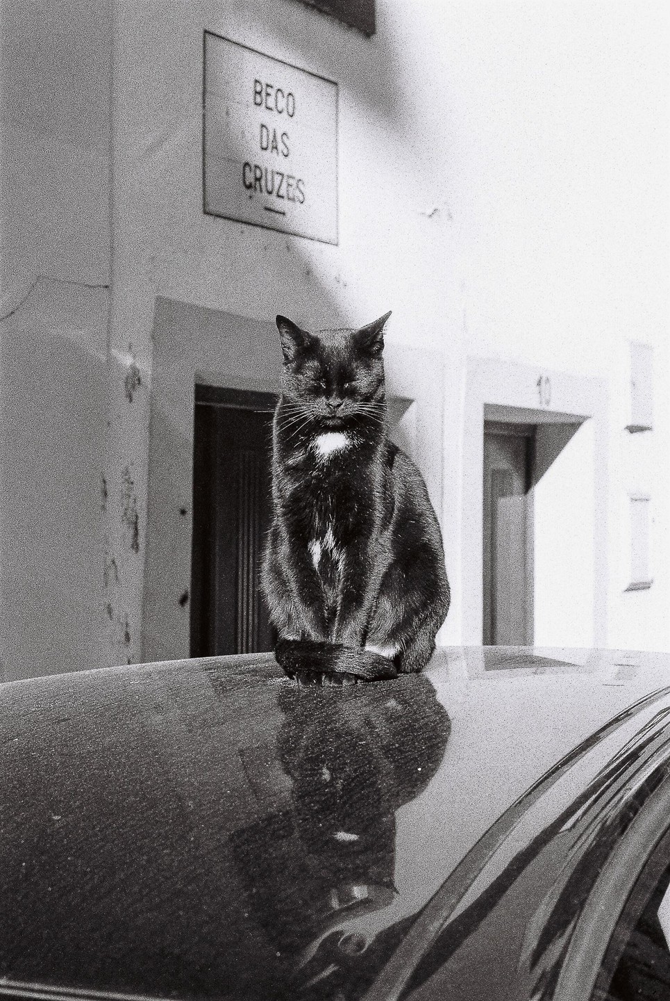 A black cat with closed eyes sits on the dusty roof of a car in front of a building with a street sign that reads "Beco das Cruzes."