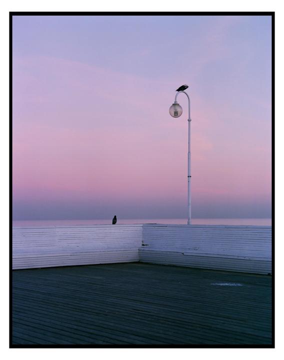 Two birds are perched on a white lamppost and a white railing overlooking the sea under a purple sky.
