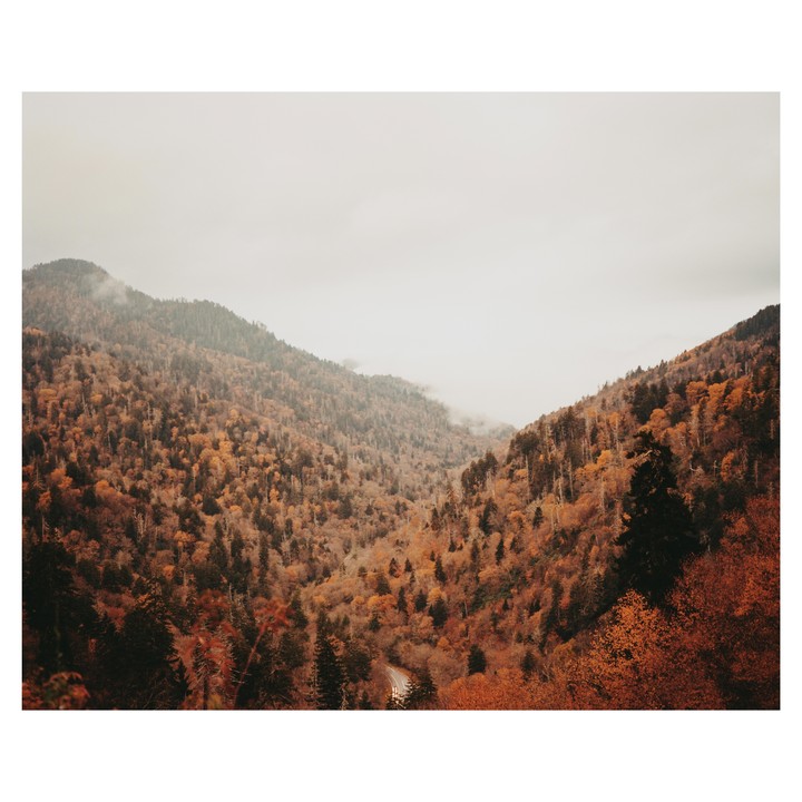A winding road cuts through a valley filled with autumn trees under a hazy sky.