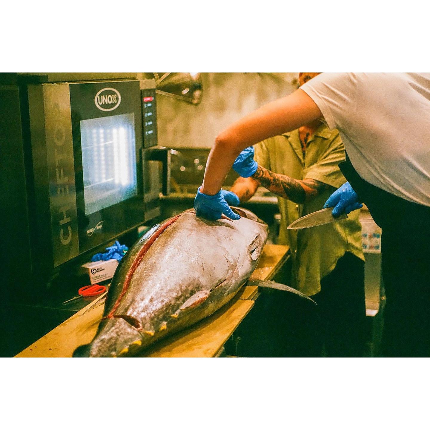 Two people wearing blue gloves are preparing a large tuna on a wooden board in a kitchen.
