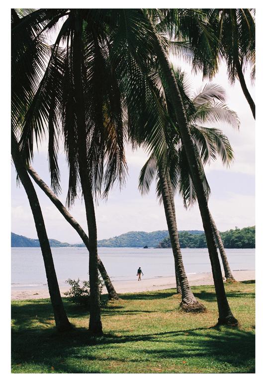 A person walks along a sandy beach framed by palm trees with mountains in the distance.
