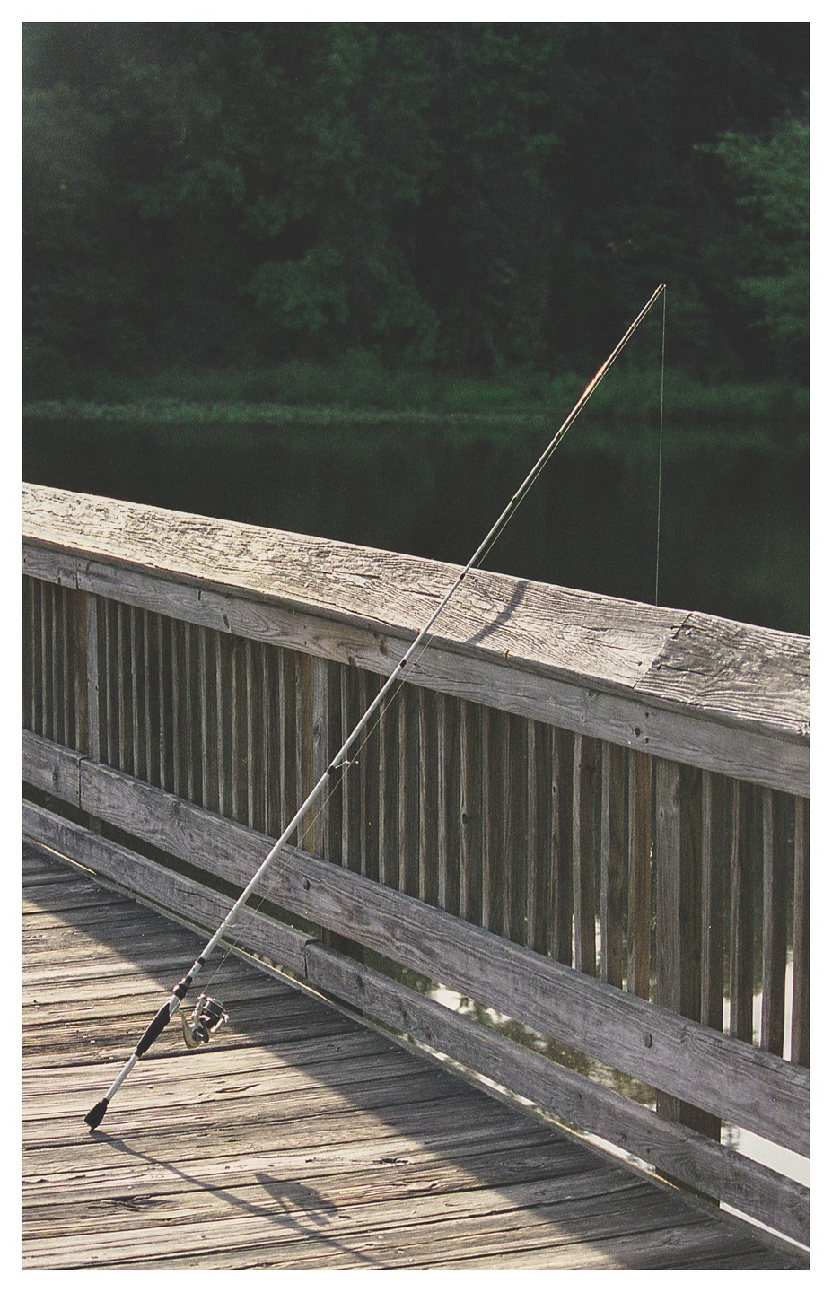 A fishing rod leans against a wooden railing on a dock overlooking a body of water with trees in the background.