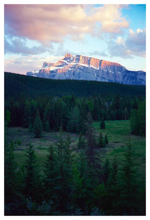 A mountain with a snow-capped peak is illuminated by the setting sun, with a forest and meadow in the foreground.