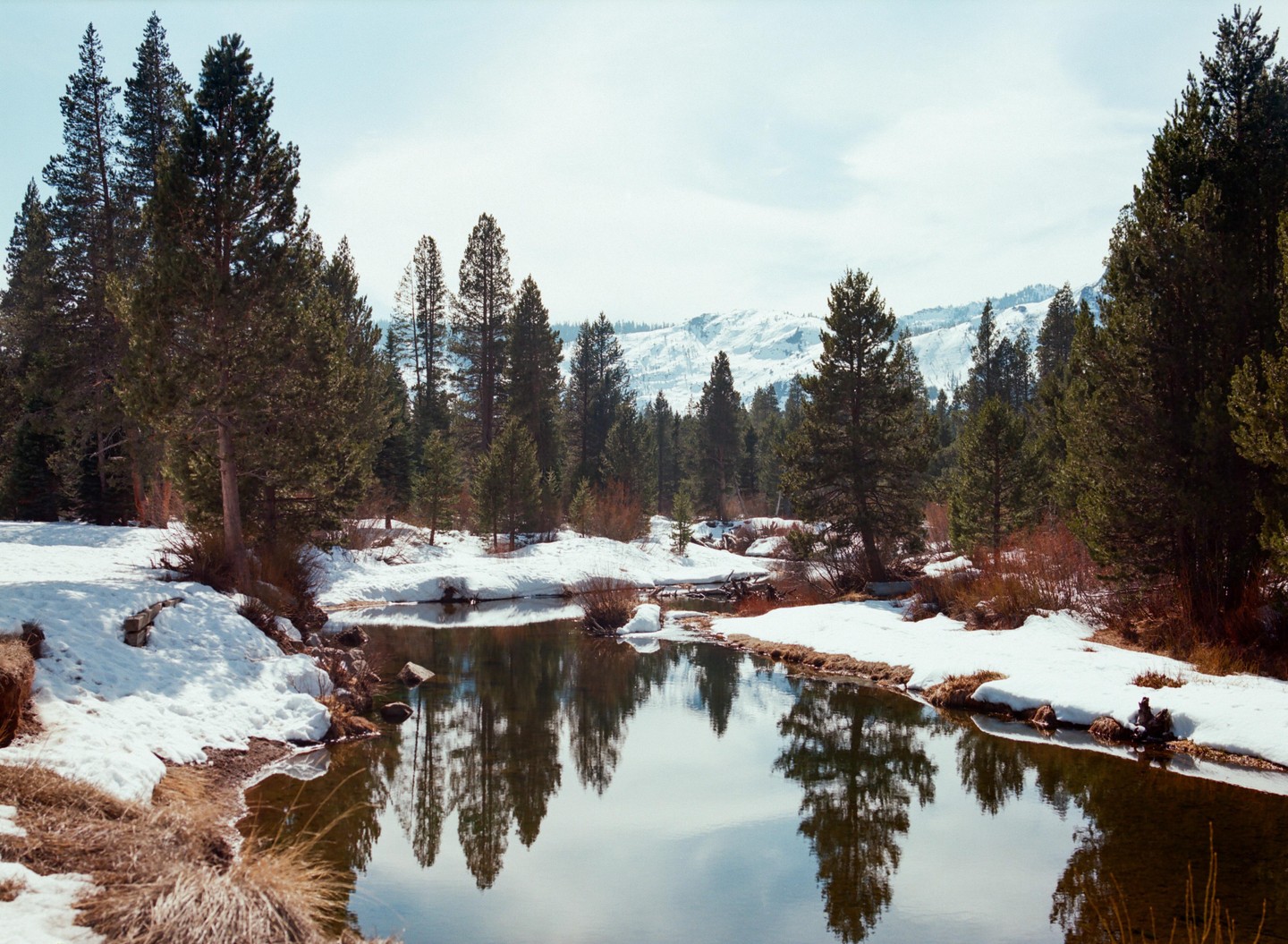 A river flows through a snowy forest with mountains in the background.