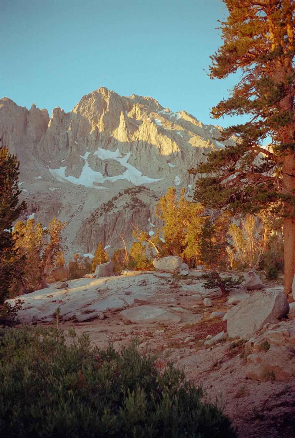 A mountain range with patches of snow is illuminated by the rising sun, with trees and rocks in the foreground.