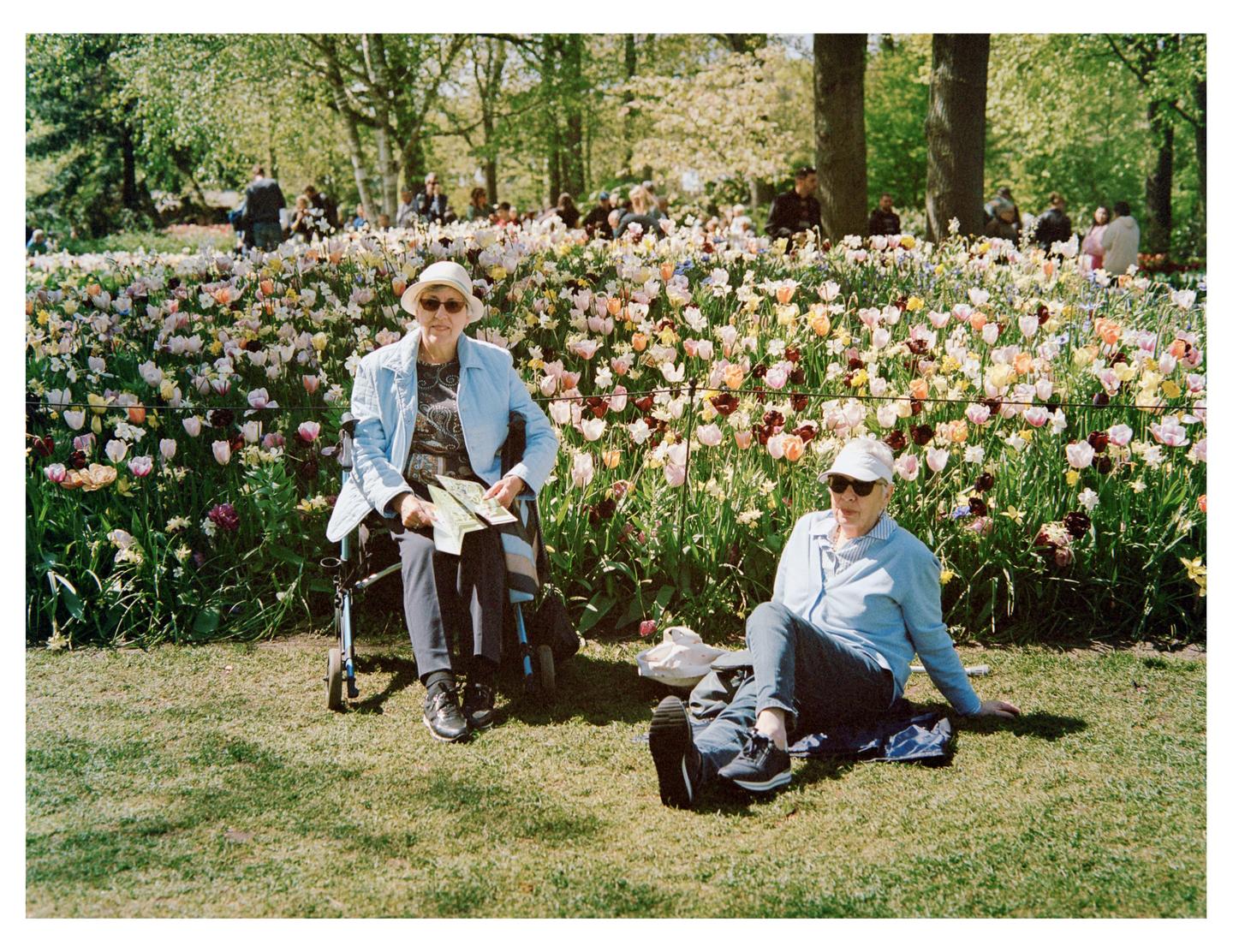 Two women are sitting in a field of colorful tulips with trees and people in the background.