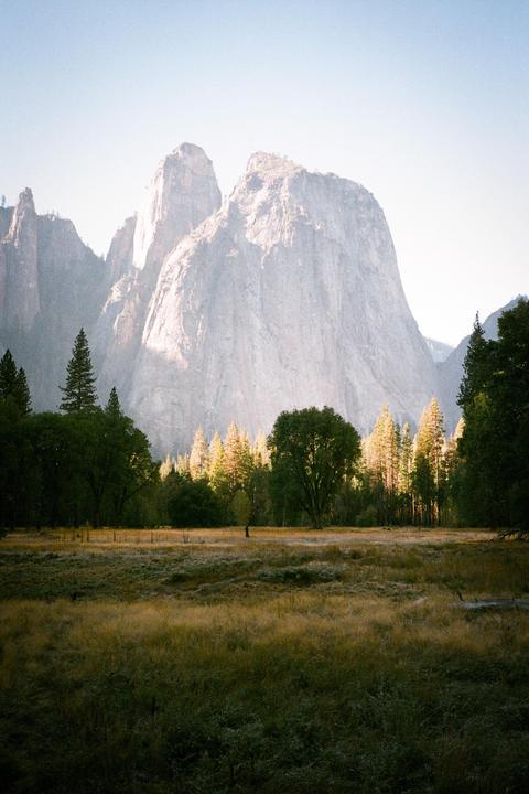A vast meadow with trees and a large mountain in the background is illuminated by morning light.