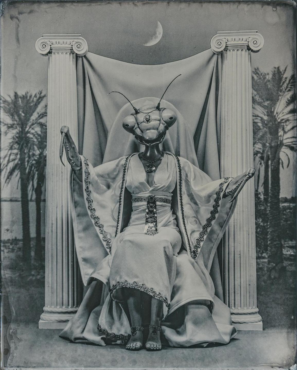 A praying mantis creature wearing a long robe sits on a throne between two pillars with palm trees and a crescent moon in the background.