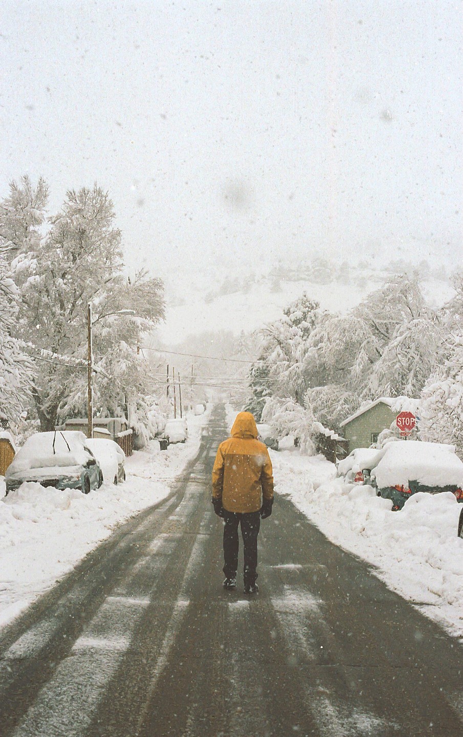 A person in a yellow jacket walks down a snow-covered street lined with snow-covered cars and trees.