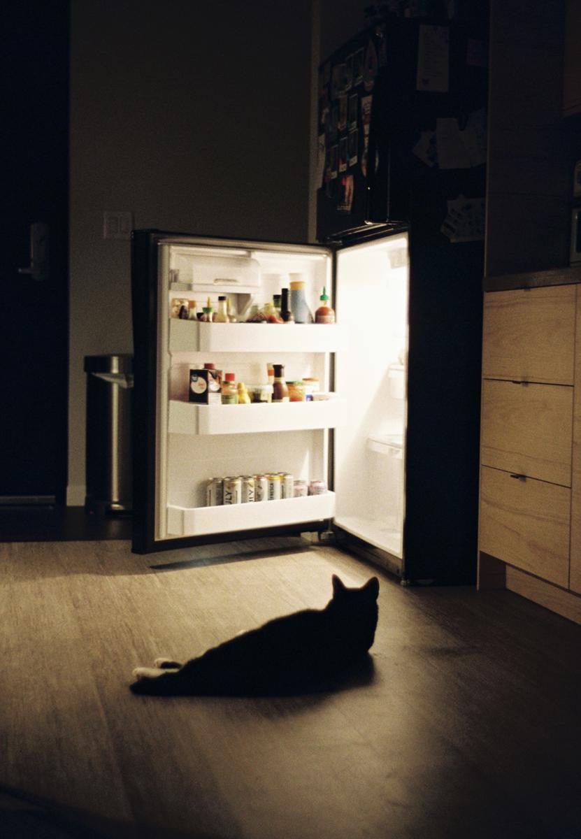 A cat lies on a wooden floor in front of an open refrigerator at night.