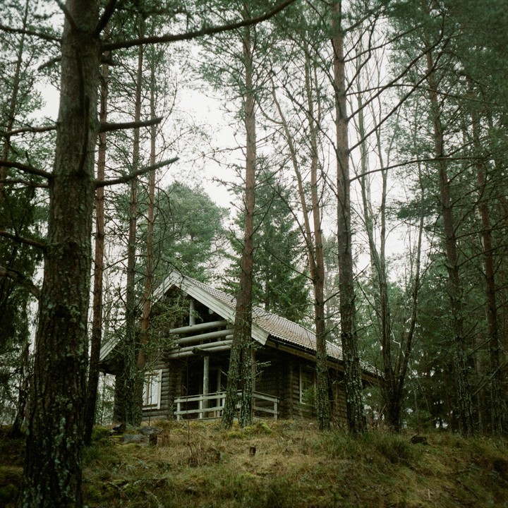 A wooden cabin with a white roof is nestled among tall pine trees on a grassy hill.