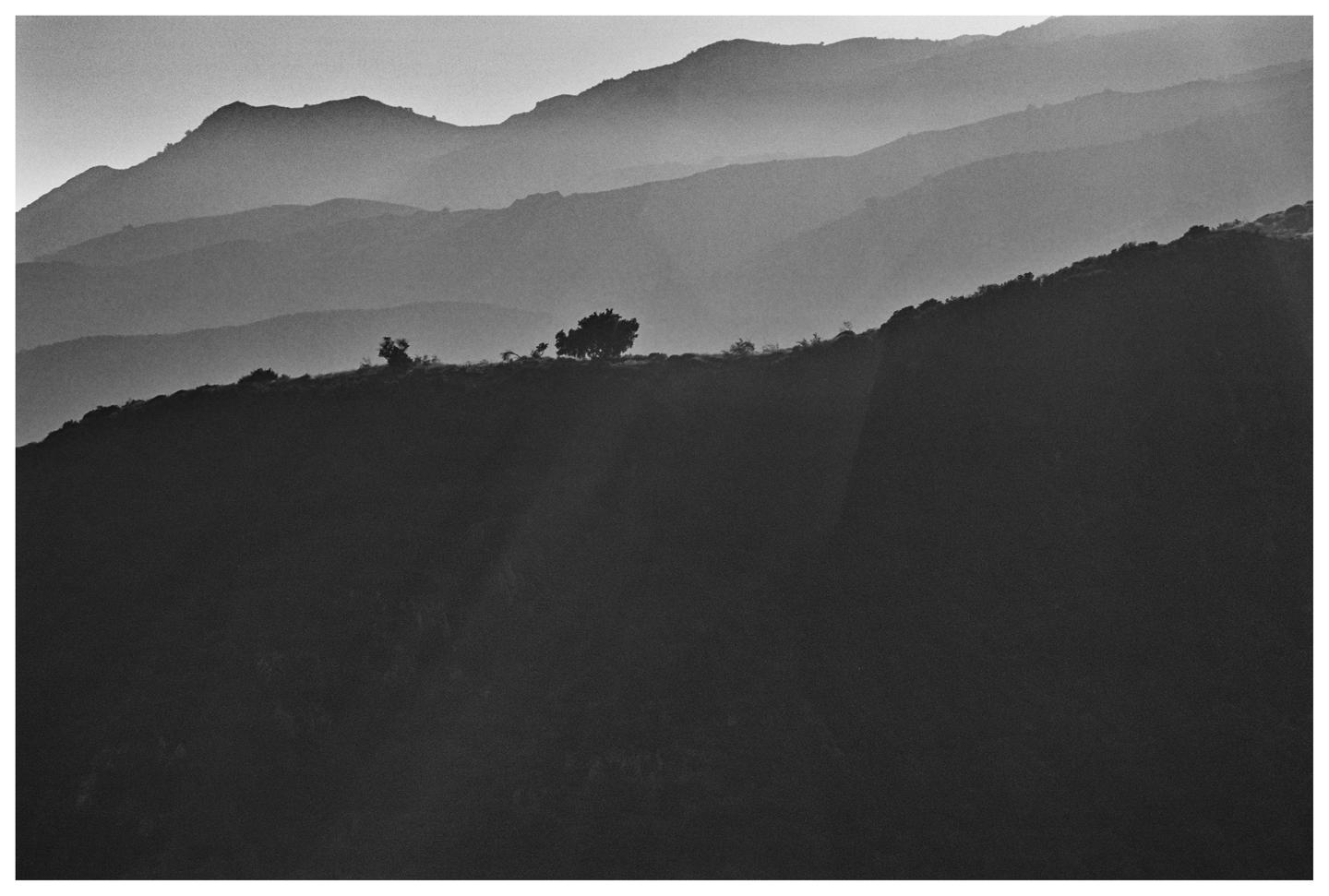 A lone tree stands on a ridge with several layers of mountains in the background.
