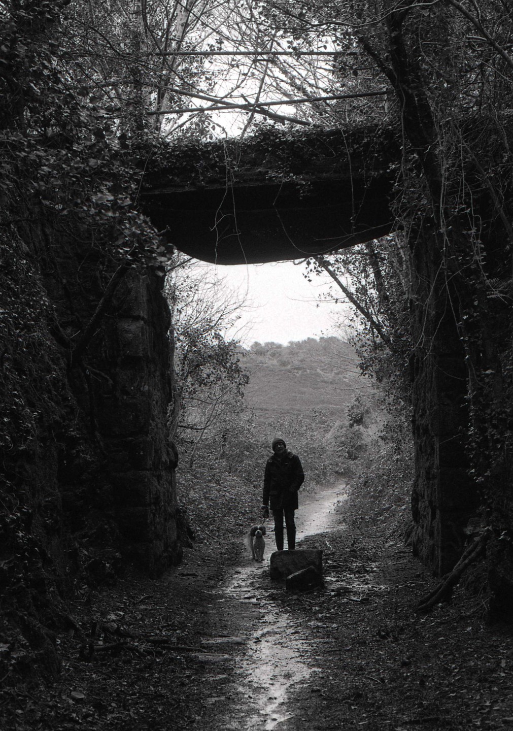 A person and a dog walk along a narrow, wet path under a bridge covered in ivy.