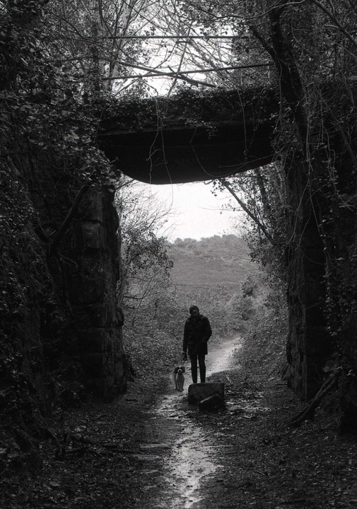 A person and a dog walk along a narrow, wet path under a bridge covered in ivy.