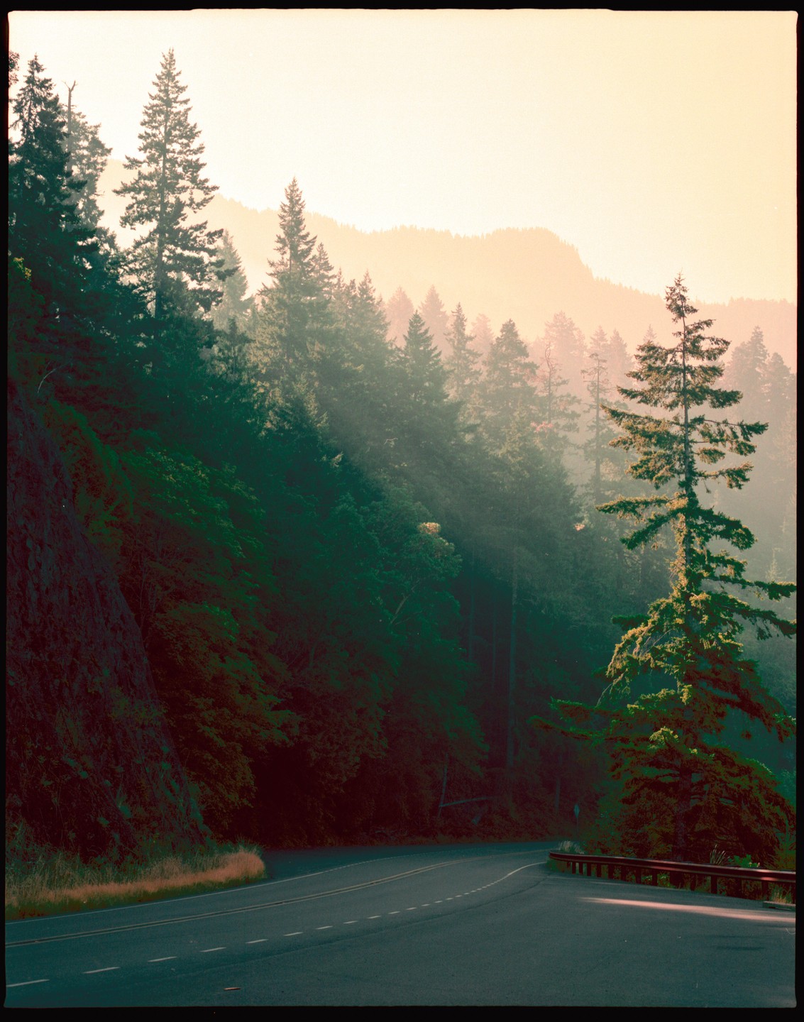A winding road curves through a forest with a hazy, sunlit sky above.