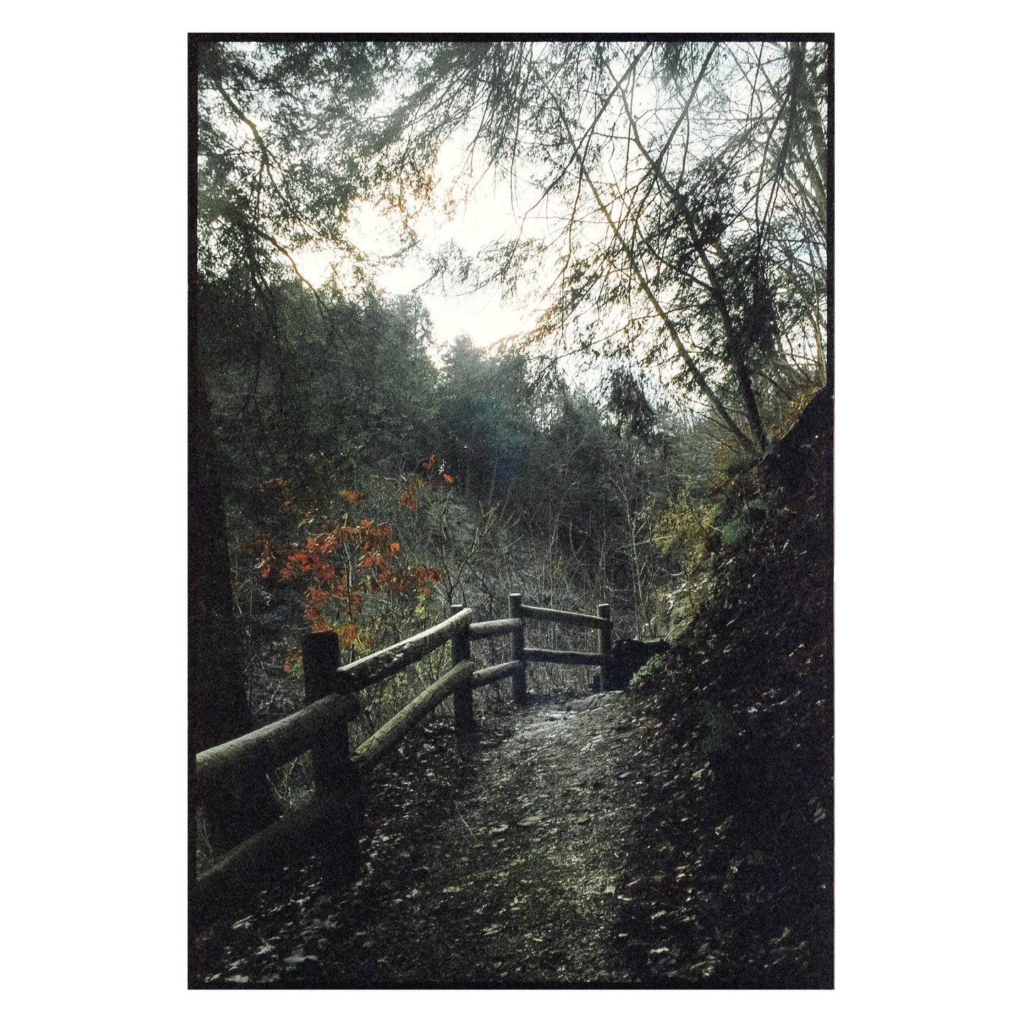 A dirt path with a wooden fence on the left leads into a forest with a bright sky overhead.