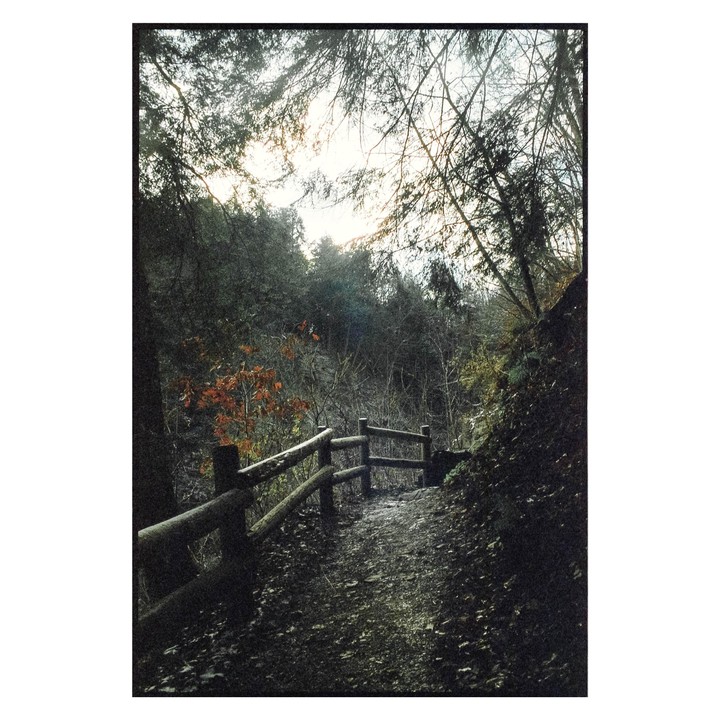 A dirt path with a wooden fence on the left leads into a forest with a bright sky overhead.