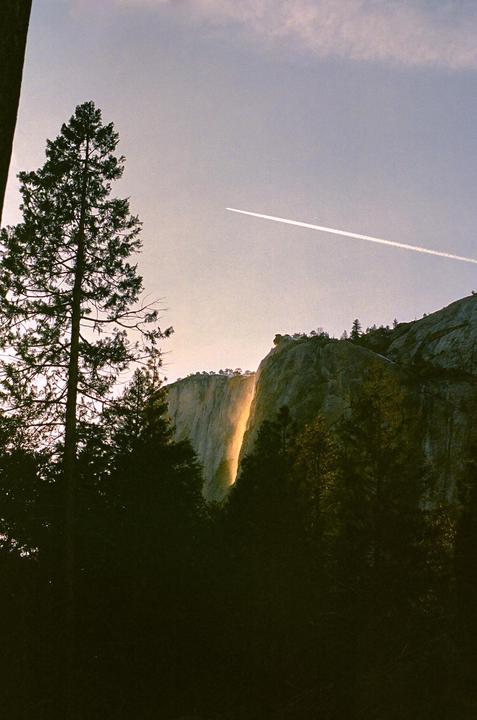 A waterfall glows orange and yellow on a cliff face at sunset, with a tall pine tree in the foreground and a contrail in the sky.