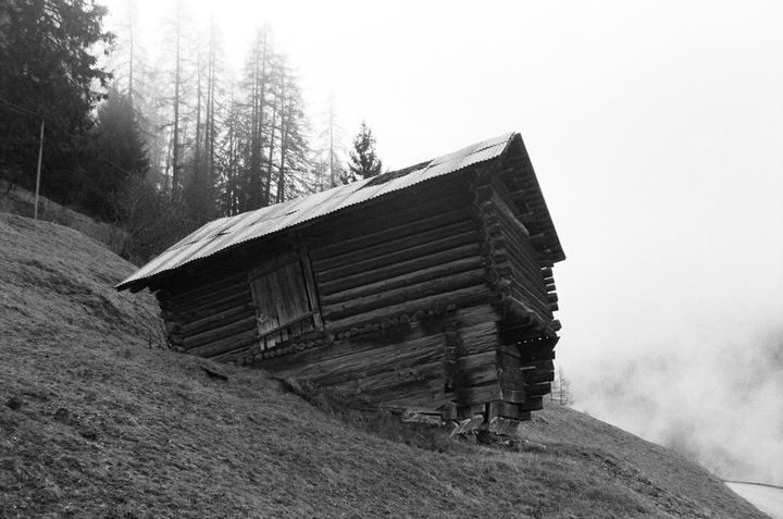 A wooden hut with a metal roof sits on a grassy hillside with a forest in the background.
