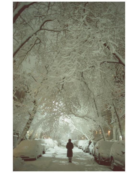 A person stands on a snow-covered street lined with parked cars and trees with snow-laden branches.