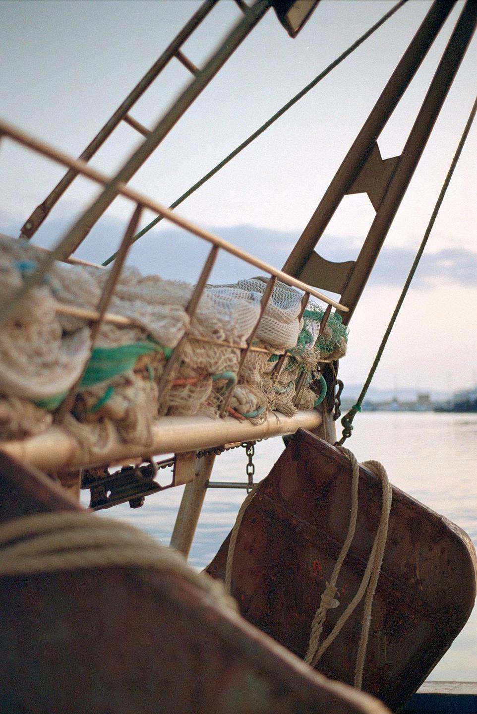 Fishing nets and ropes are visible on the side of a boat with water in the background.