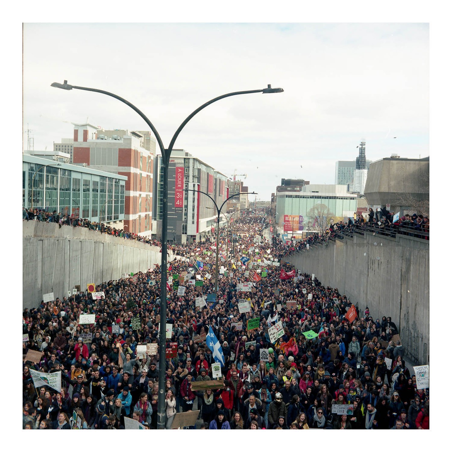 A large crowd of people are protesting in a city street, many holding signs and flags.