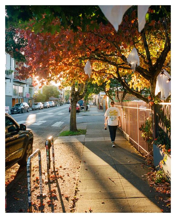 A person walks on a sidewalk next to a street lined with cars and trees with autumn foliage and ghost decorations.