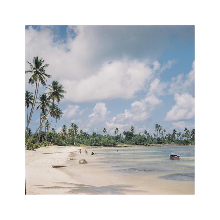 A sandy beach with palm trees and a small boat in the water under a cloudy sky.