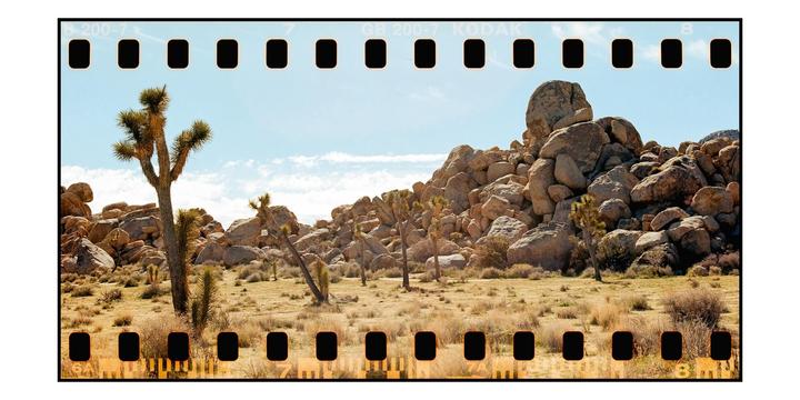 A desert landscape features Joshua trees and large rock formations under a clear sky.