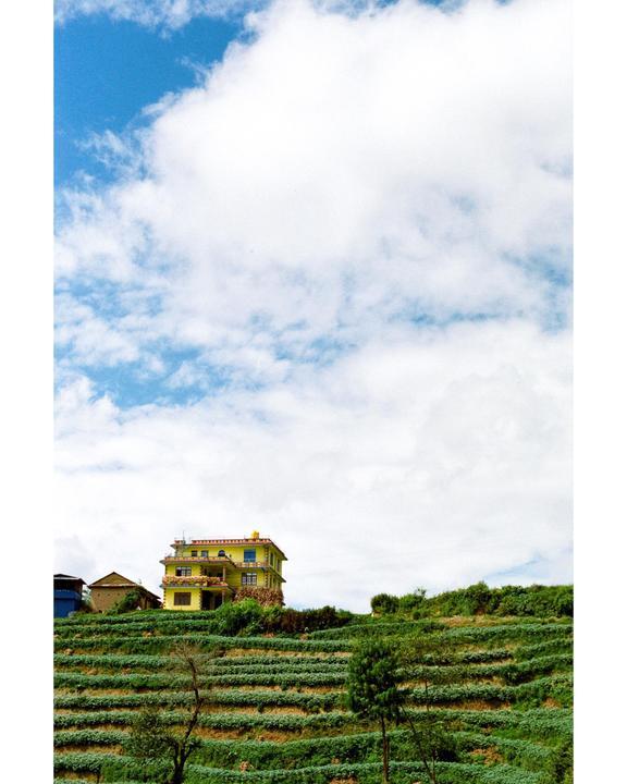 A yellow house sits on a terraced hillside under a blue sky with white clouds.
