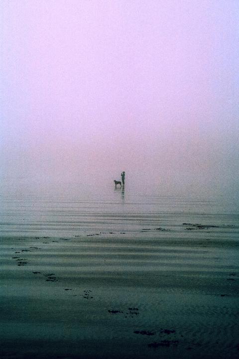 A person and a dog stand in shallow water on a misty beach.