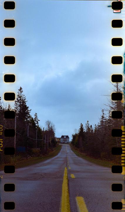 A long road leads up a hill towards a large house surrounded by trees under a cloudy sky.