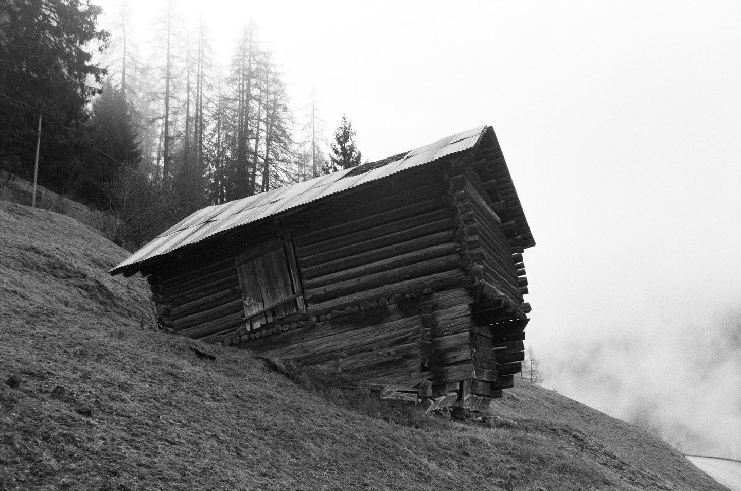 A wooden hut with a metal roof sits on a grassy hillside with a forest in the background.
