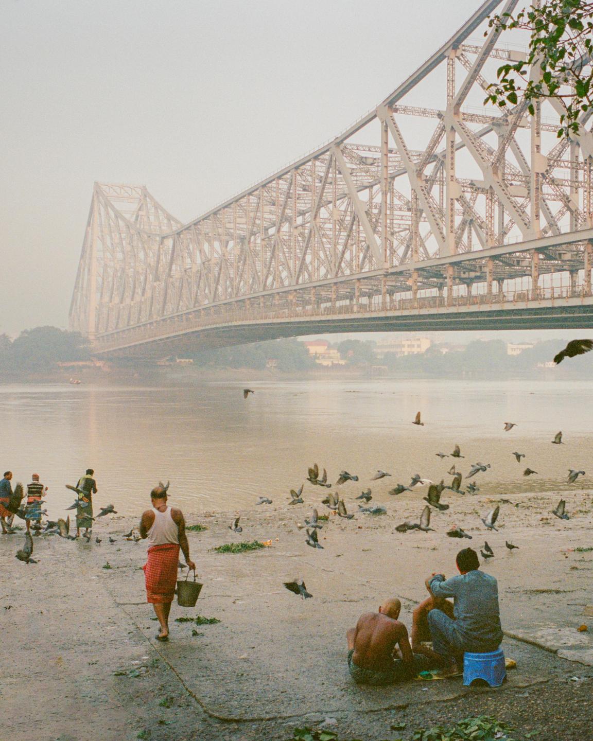 People and pigeons gather on a muddy riverbank beneath a large metal bridge.